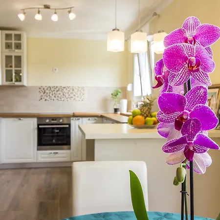 Apartman Maxim Pula